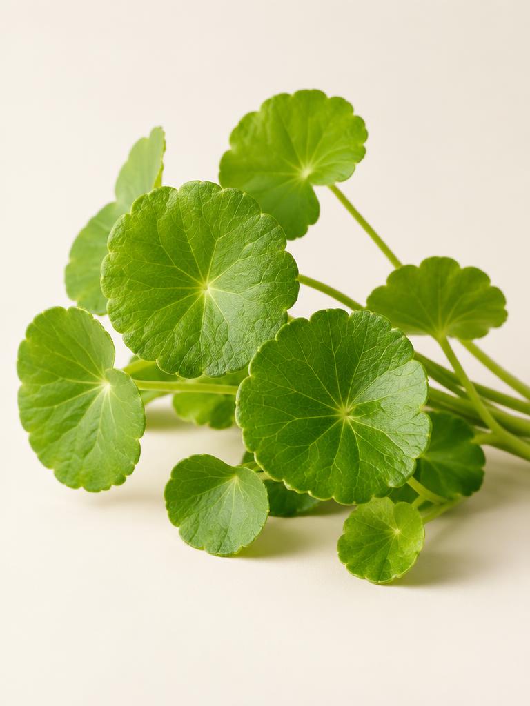 Centella Asiática